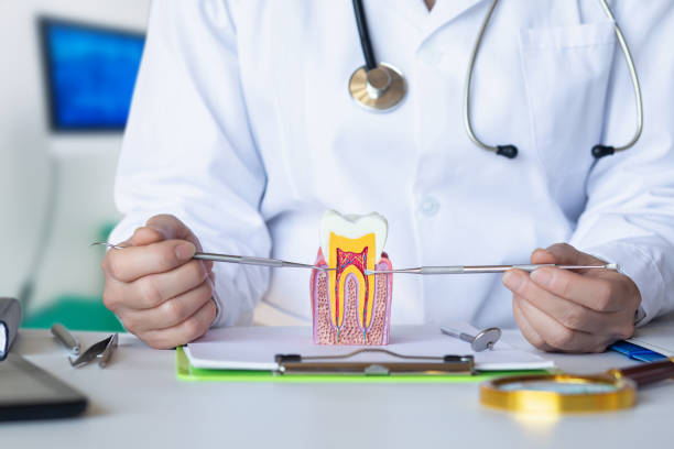 Best Emergency Wisdom Teeth Removal in Elton, LA